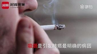 抽烟过肺视频,揭示肺部受损的惊人真相