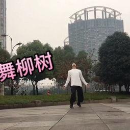 柳树舞蹈视频,柳树舞蹈视频魅力解析