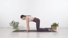 视频瑜伽初学视频教程,入门教程视频解析