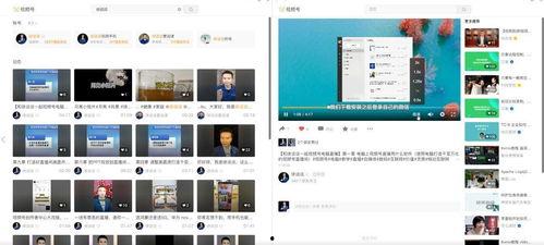 你懂的视频网站