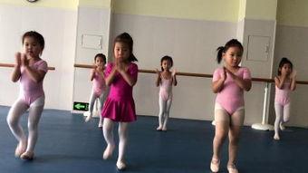 幼舞蹈视频大全,萌动童心的舞蹈盛宴